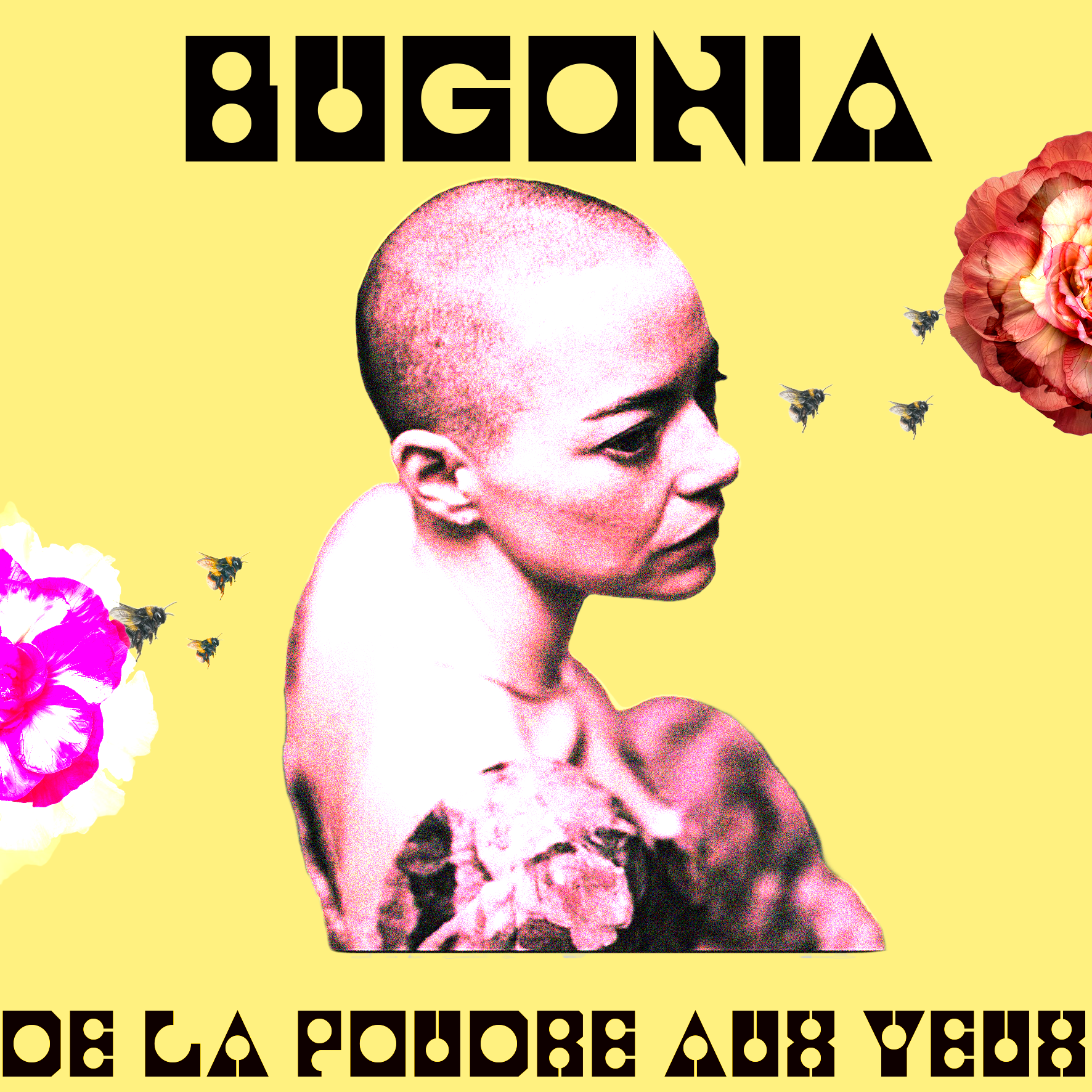 Bugonia : de la poudre aux yeux